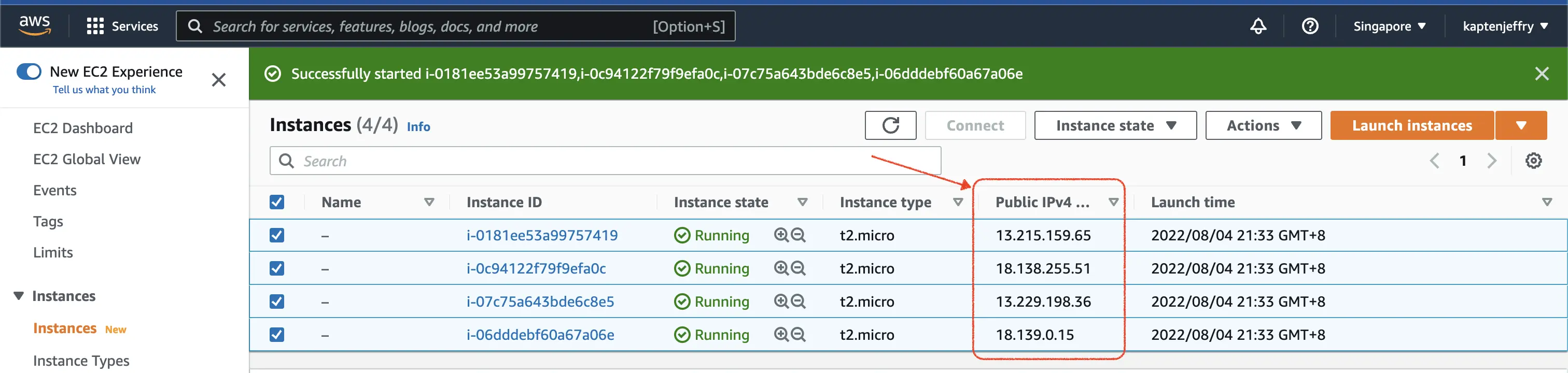 AWS web console, again open to the Instances tab, with the Public IPv4 column circled. A green banner says that the EC2 instance was successfully started, followed by a long ID