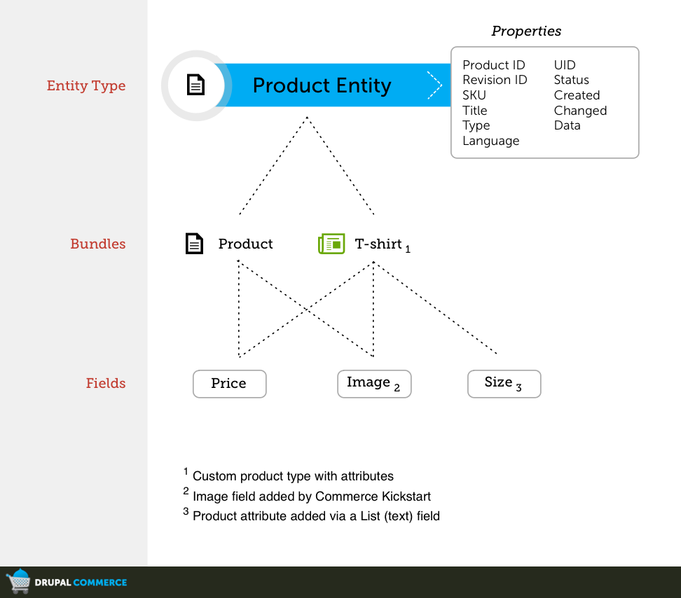 Entity properties. Types of entities. Кривая изучения Drupal. Bundle Тип данных. Product taxonomy Mapping data model.