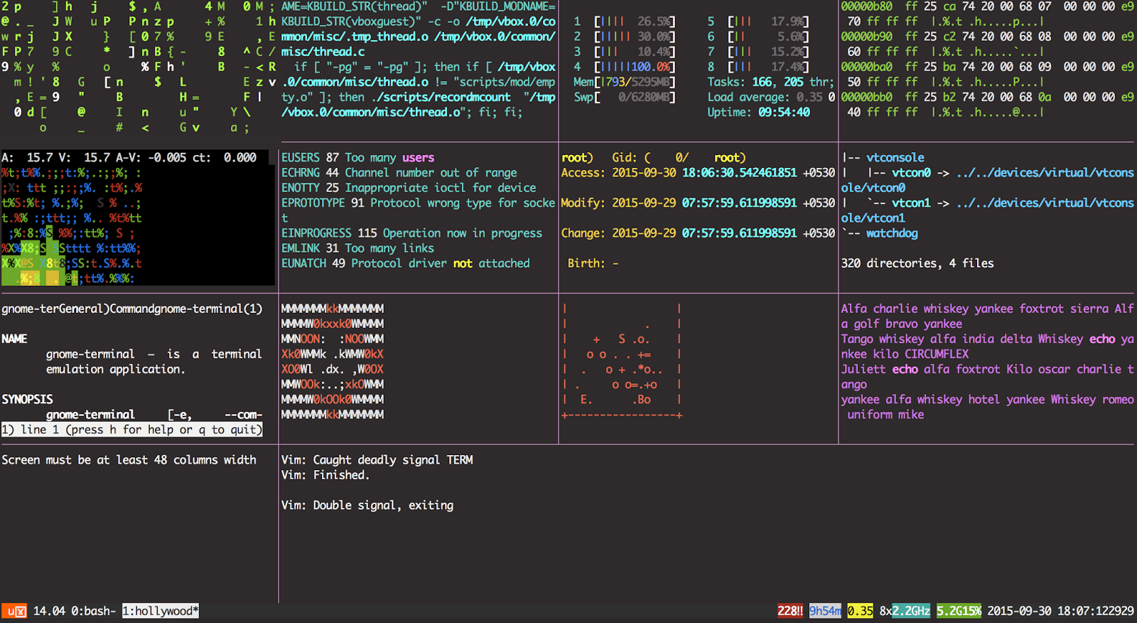 Vim Terminal Emulation.