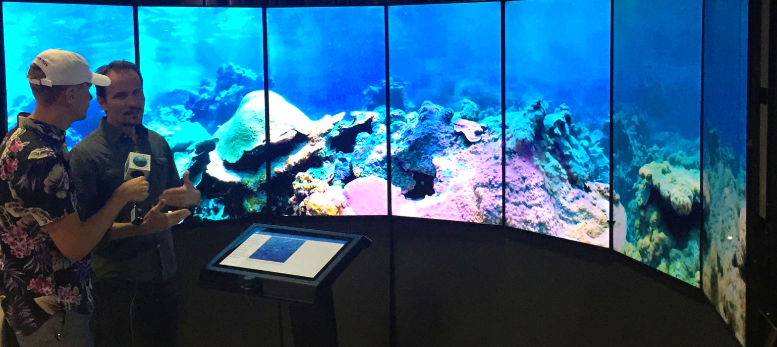 Coral reef panorama displayed on Liquid Galaxy