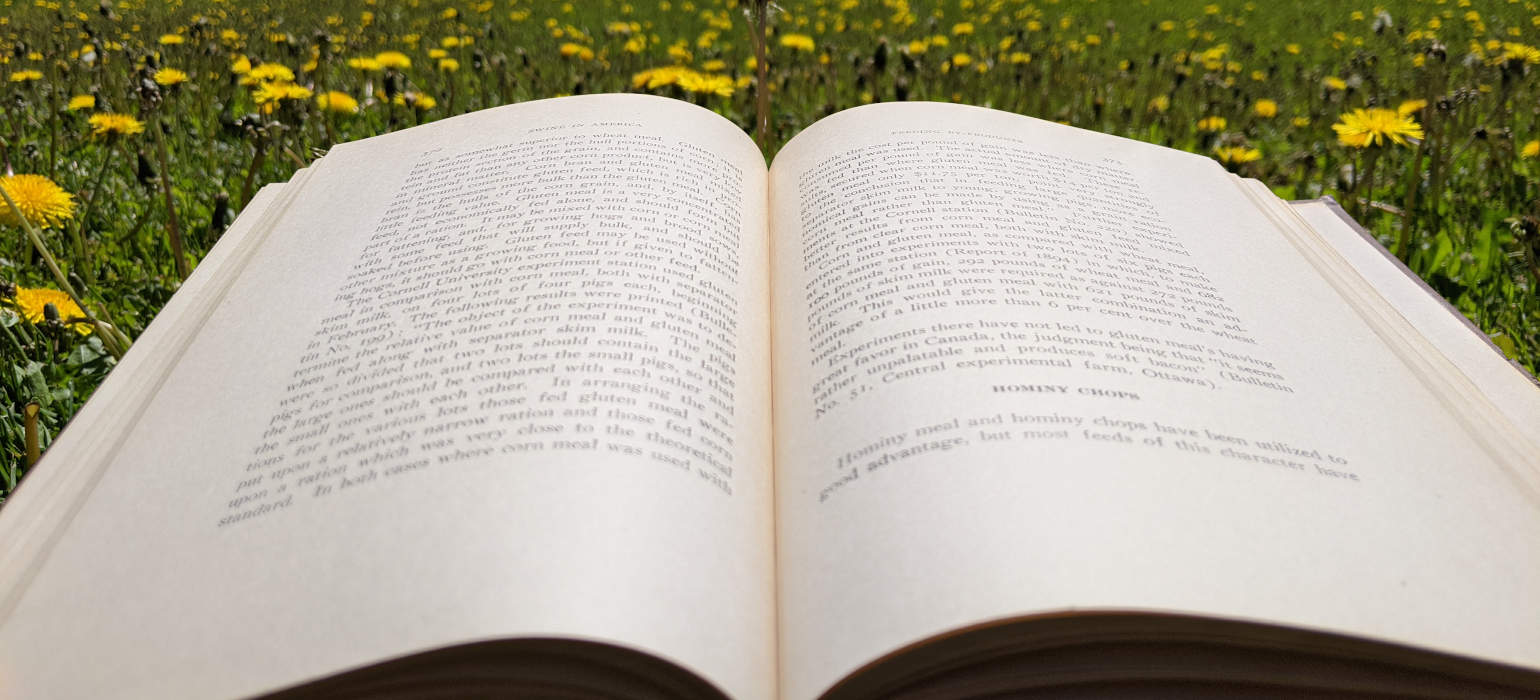 Book open on lawn with dandelions