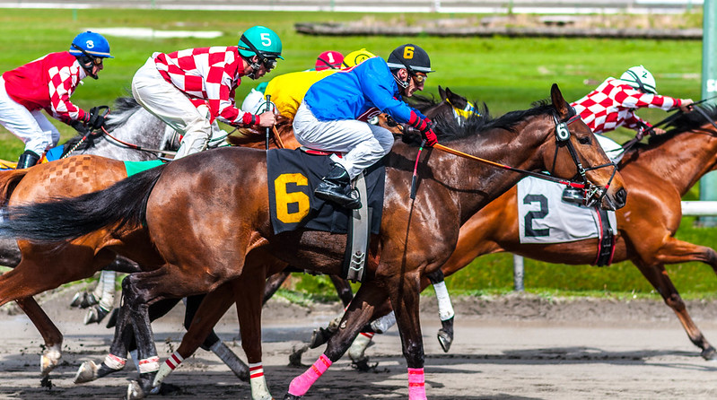 Horses racing, accompanied by jockeys