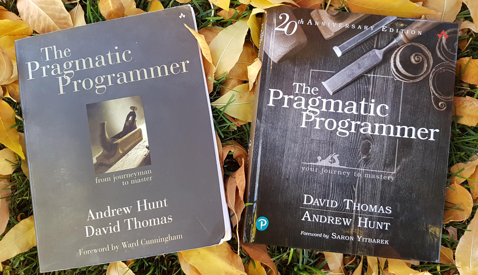 Photo of the original and 20th anniversary editions of The Pragmatic Programmer book, atop lawn and fall leaves