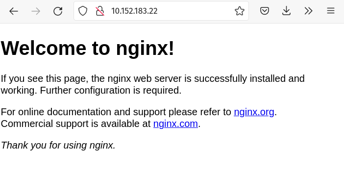 NGINX via Cluster IP