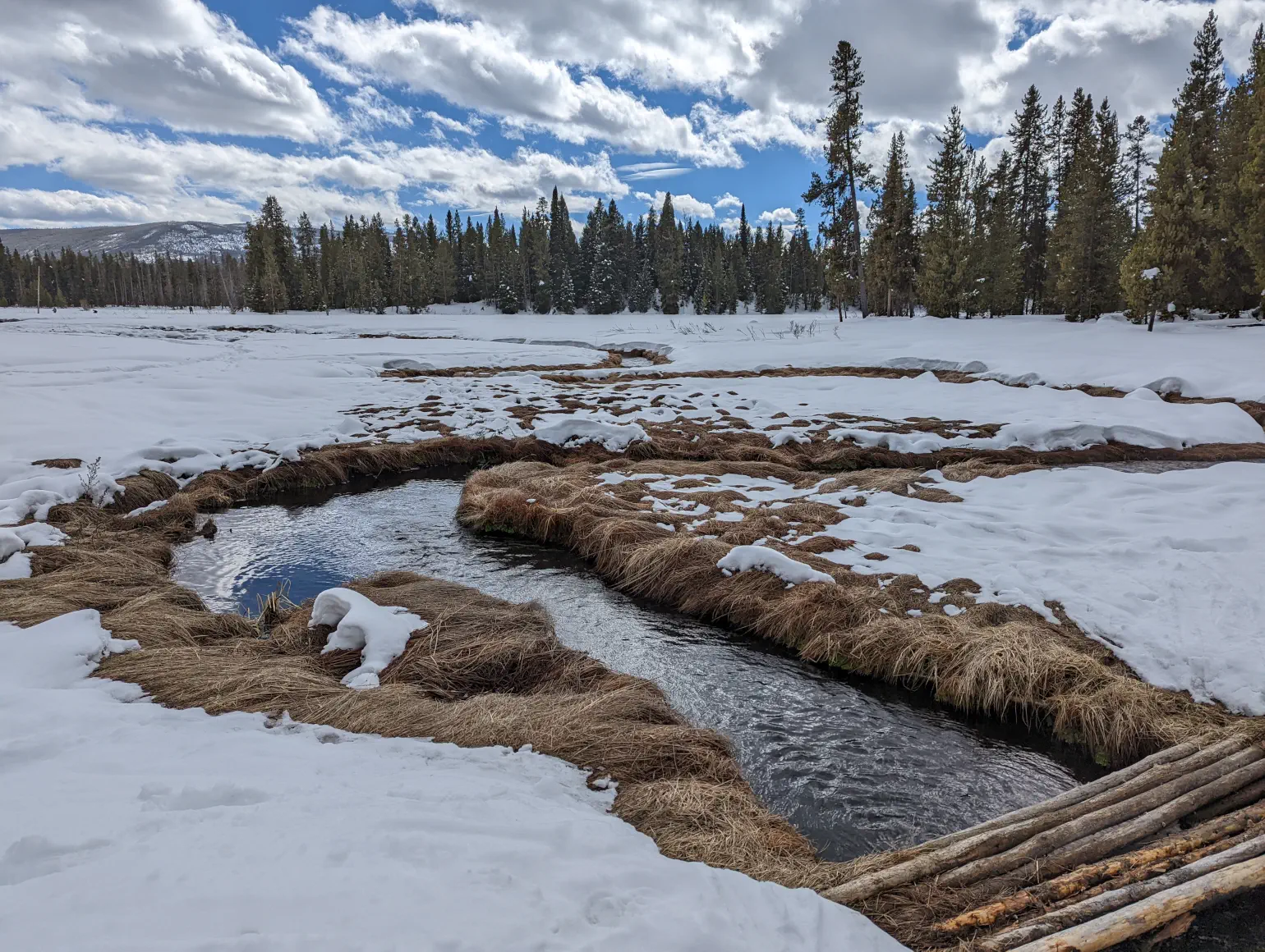 Winter scene with pine trees behind snow on tall grasses around a winding stream crossed by a primitive bridge of 8 logs, below blue sky with white clouds