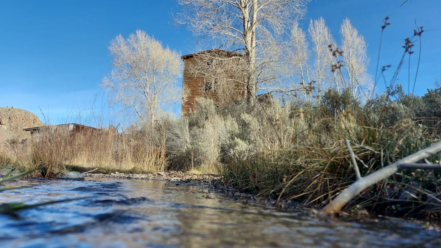 Outdoor view of a creek bank with dry trees and old wooden buildings against a blue sky