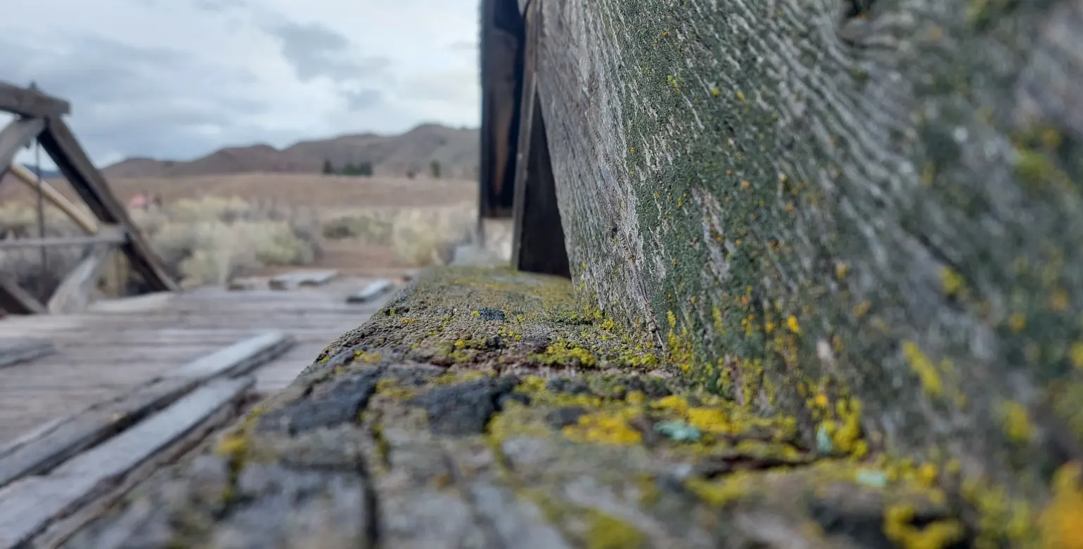 Photo of old wooden bridge with moss on it