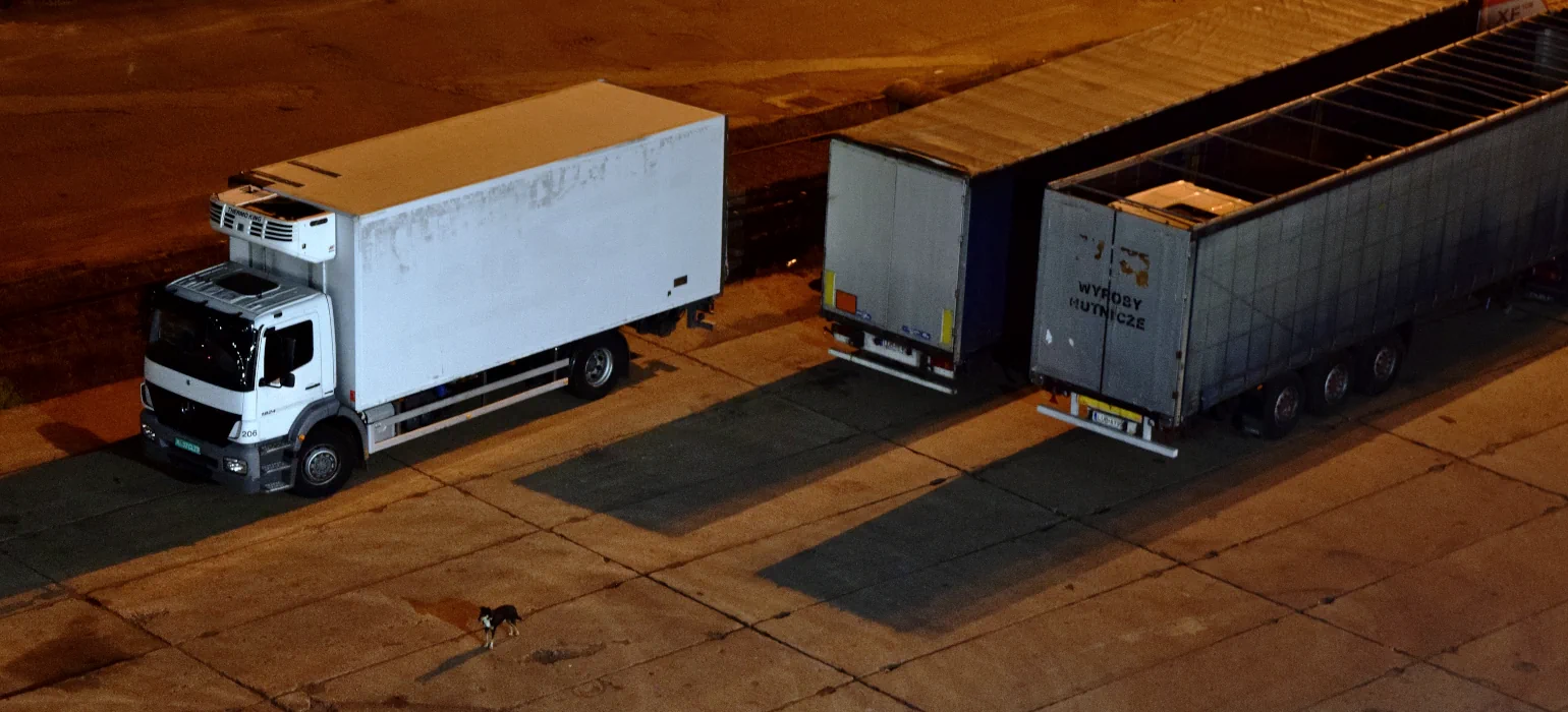 Three semi trucks parked on concrete, with a dog standing watch over them