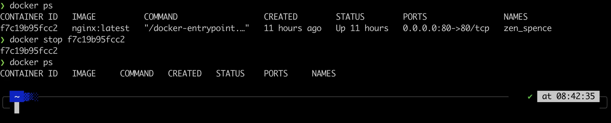 Docker ps output container list