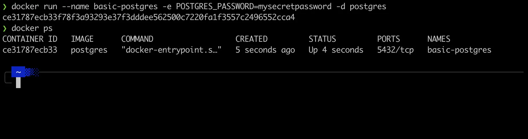 Screen shot of terminal showing docker ps output after postgres container was started