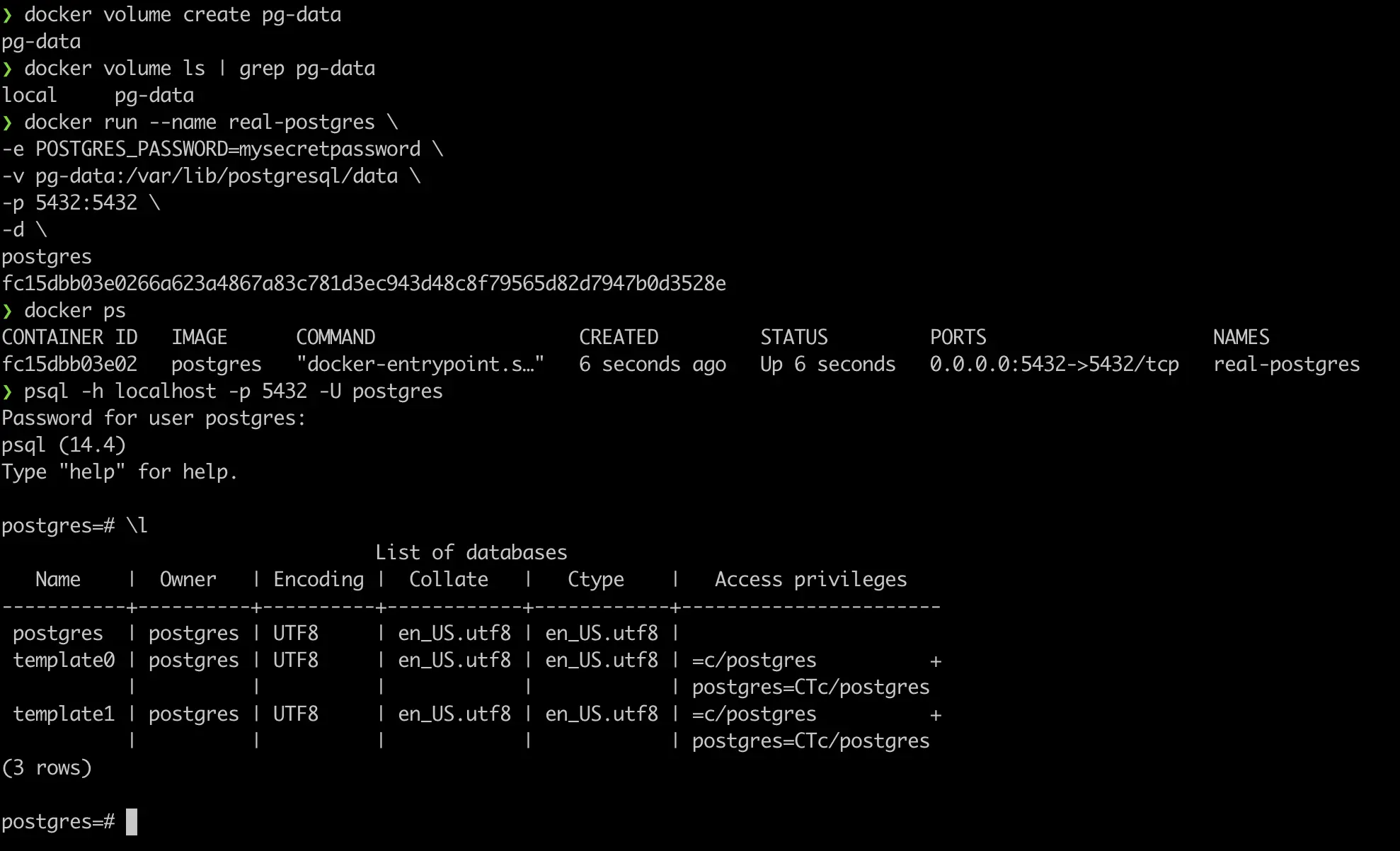 Screen shot of terminal showing access to Postgres in Docker with persistent storage