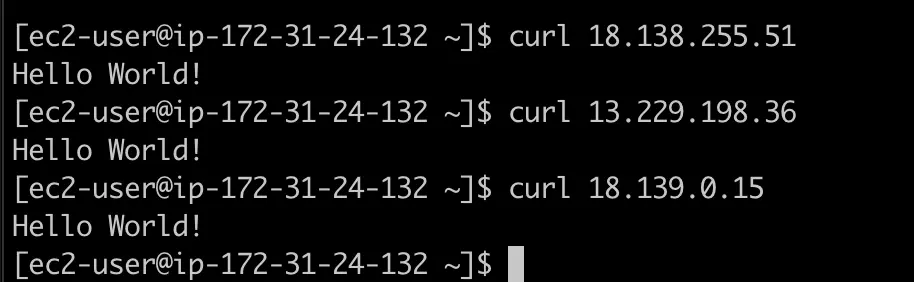 The output of each curl command above, with the responses being identical: 'Hello World!'