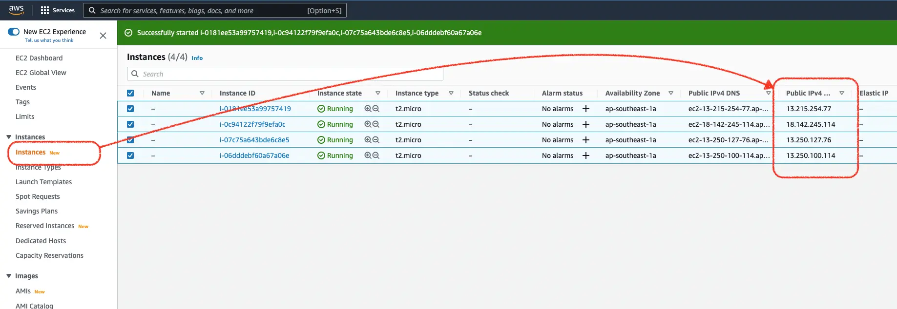 AWS web console, open to the “Instances” tab in the toolbar. This is circled and pointing to the table column starting with “Public IPv4…