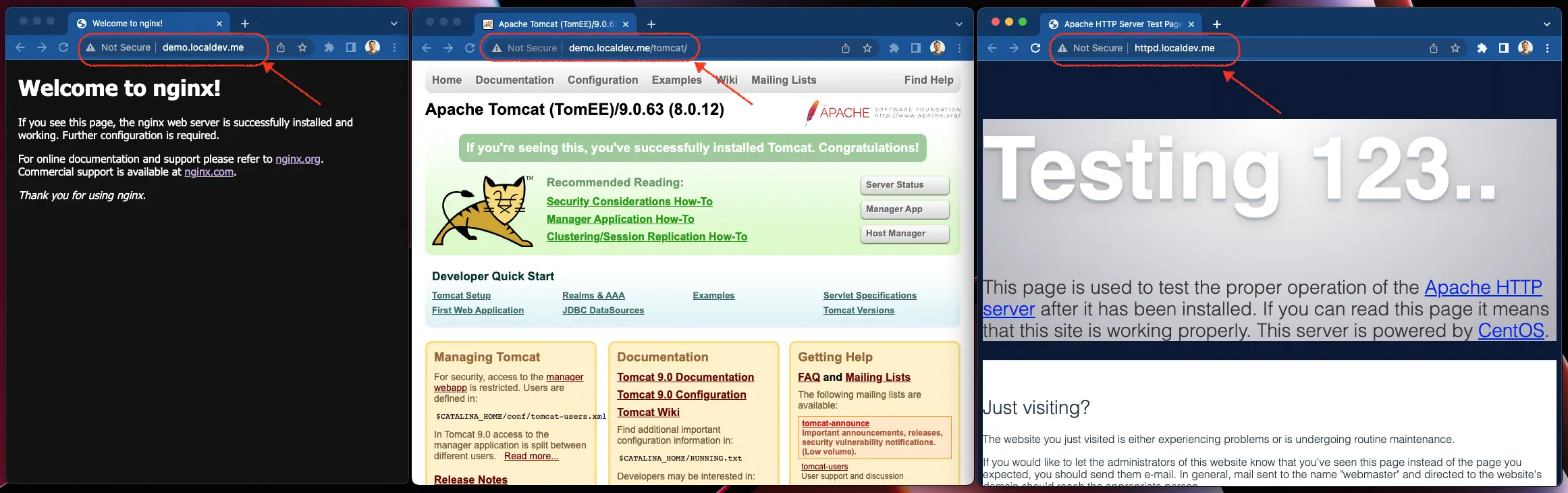 Three browser windows displaying the above URLs. They display welcome pages for Nginx, Tomcat, and Apache, respectively.