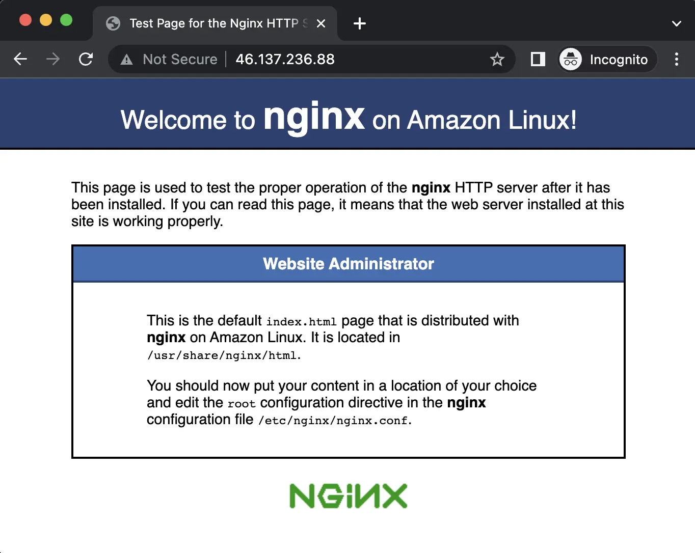 The default Nginx page in a web browser. The top of the page reads “Welcome to nginx on Amazon Linux!