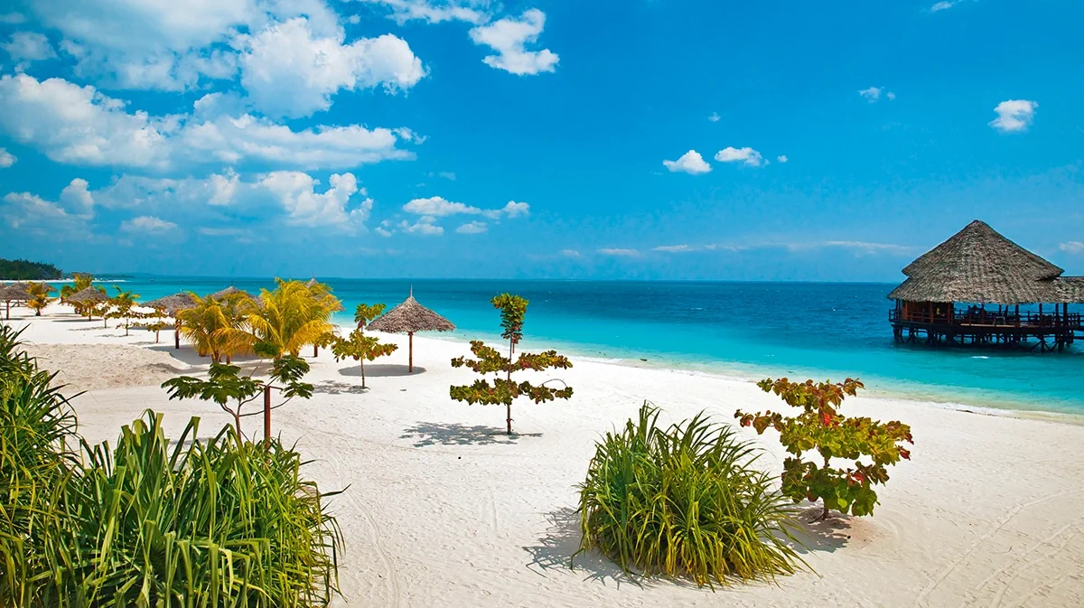 A white beach in Zanzibar, Tanzania during a hot sunny day. A few trees provide shade for the beach, looking out at a light blue ocean.