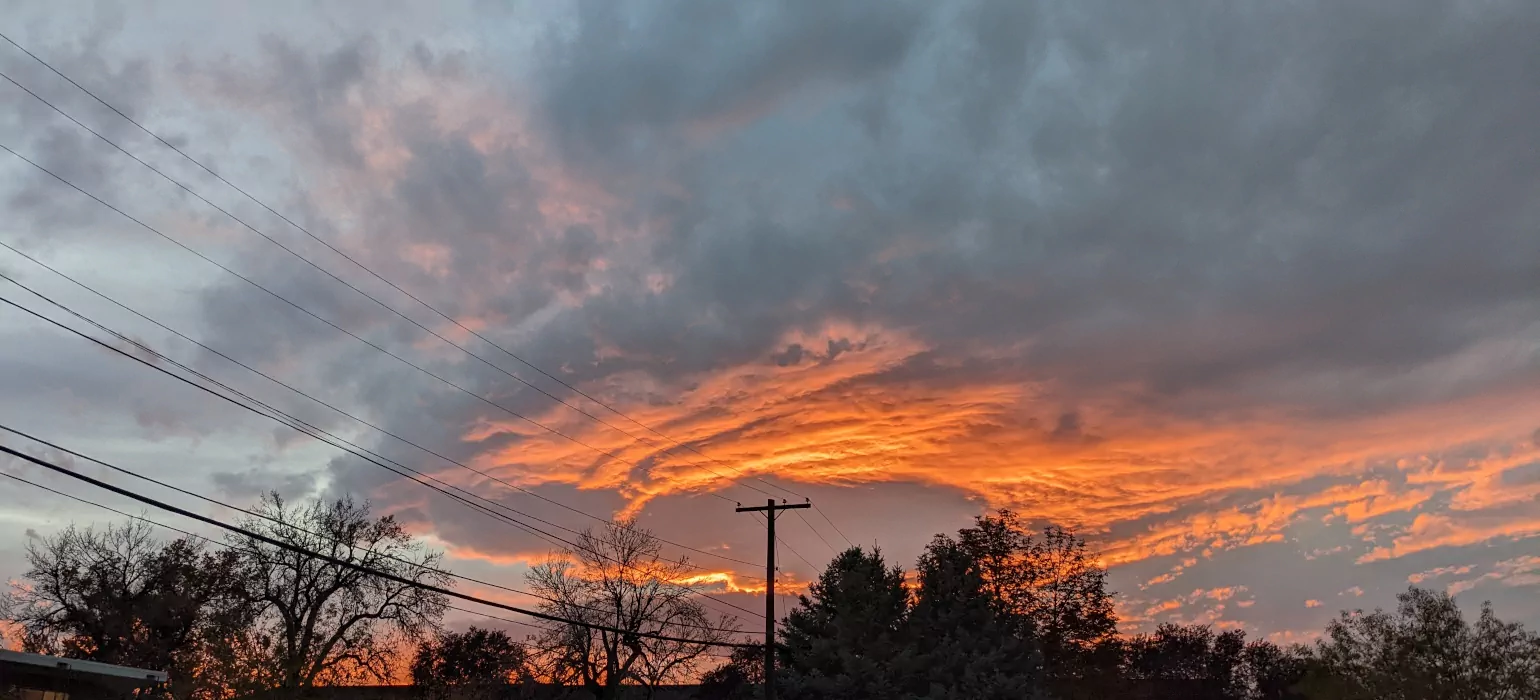 Three tiers of power lines lead from the left side of the image down towards a power pole directly in the bottom center. The pole sits just higher than trees lining the bottom of the image, haloed by a circular cloud, lit orange by the sunset, spreading to the edges of the image to fill it.