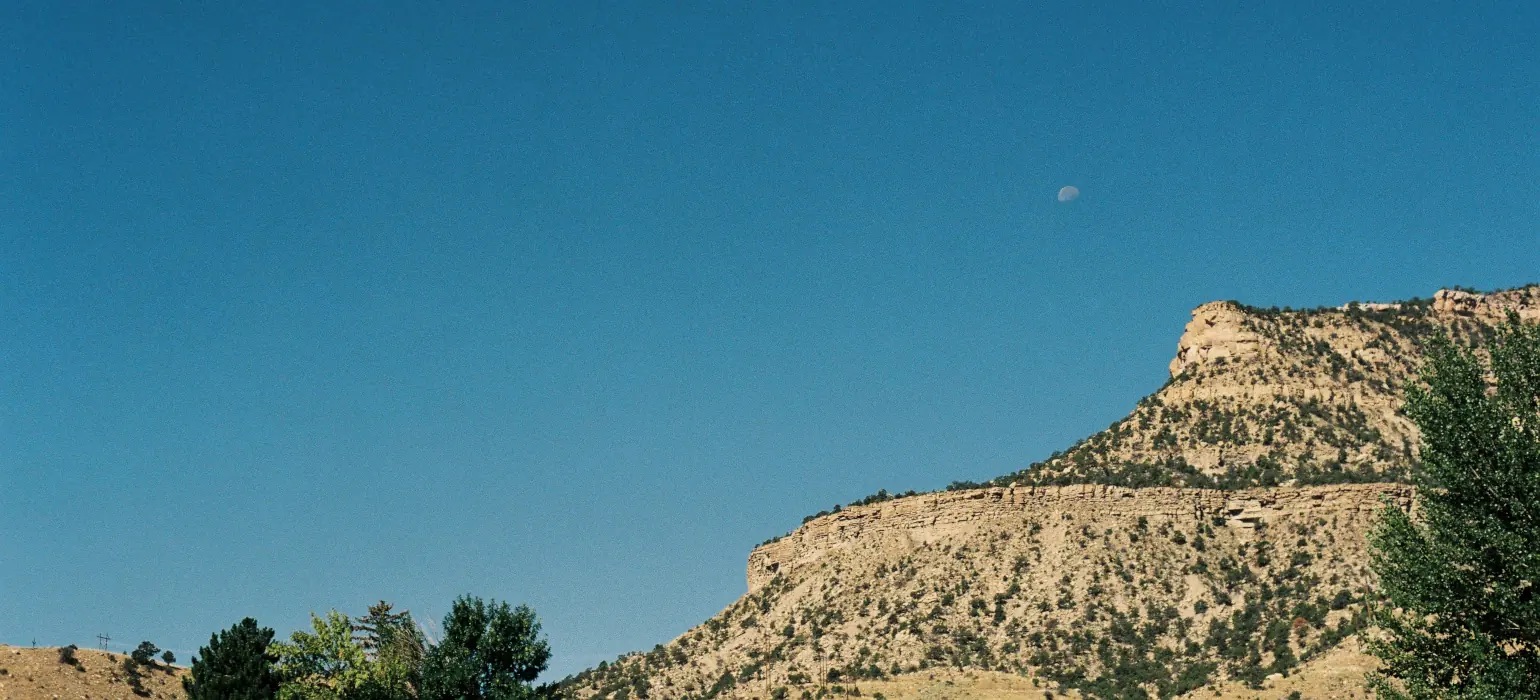 A completely clear blue sky is broken by a desert mountain with exposed light rock, covered partly by striking green trees and bushes. Above the mountain is a half-moon.