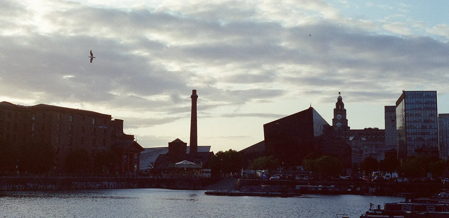 A singler seagull flies in front of a subtle sunset, over buildings and a smokestack forming a skyline above water.